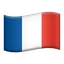 🇫🇷