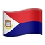 🇸🇽