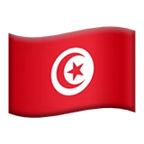 🇹🇳