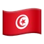 🇹🇳
